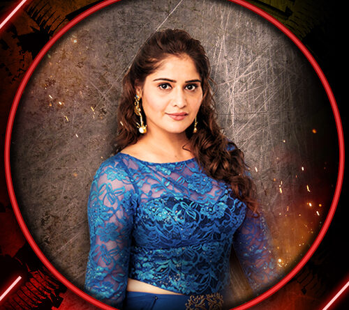 Aarti Singh - Bigg Boss 13 Contestant