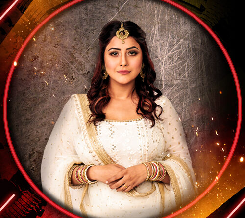 Shehnaz Gill - Bigg Boss 13 Contestant