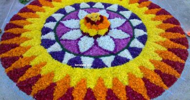 onam-pookalam-designs Gallery 1