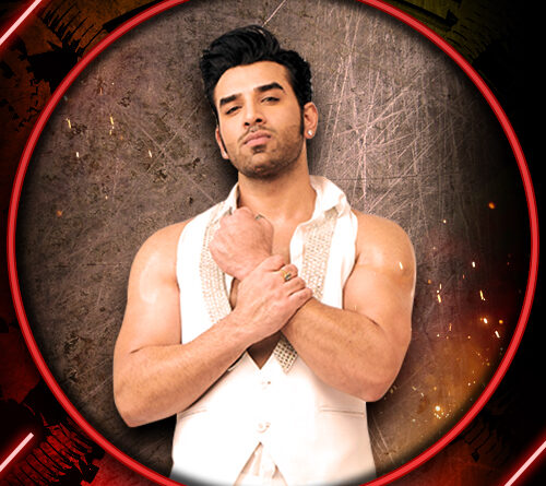 paras-chhabra-bigg boss 13 contestant