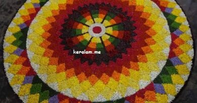 Onam Pookalam Design 86