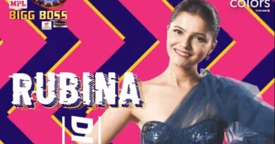 Rubina Dilaik bigg boss 14 contestant