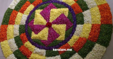 3d Onam Pookalam designs, onam celebration