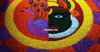Kathakali Pookalam, onam, pookalam