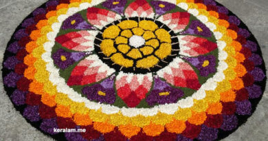 onam celebration