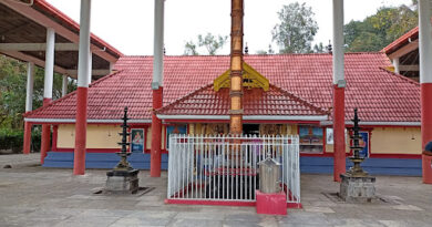 Sri Nellikulangara Bhagavathi Temple - Nenmara