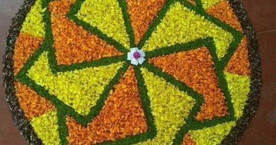 simple athapookalam, designs images