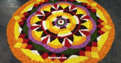 onam pookalam, onam, pookalam
