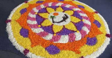 onam pookalm, onam, pookalam