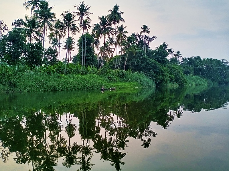 Neelambari Resort